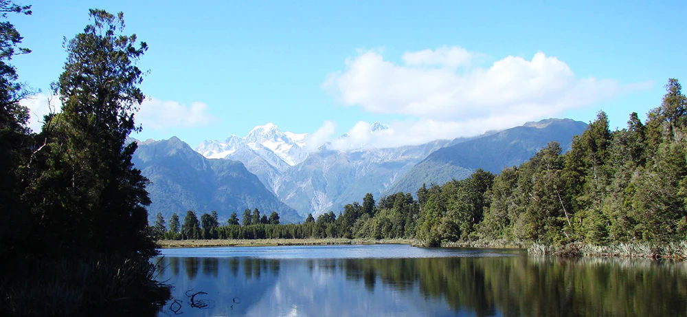 Authentic Kiwi Gifts Delivered Worldwide